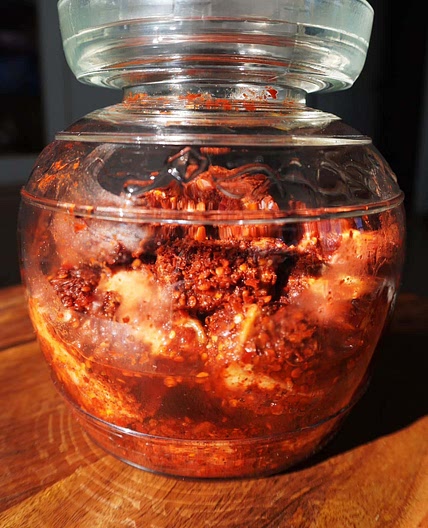 Fermented Tofu