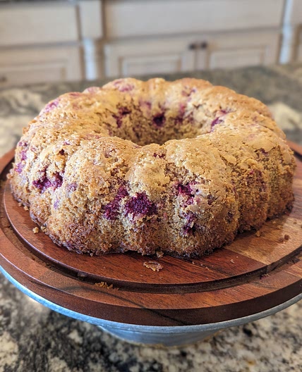 Sourdough Lemon Blueberry Ricotta Cake