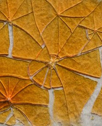Caramel Shards