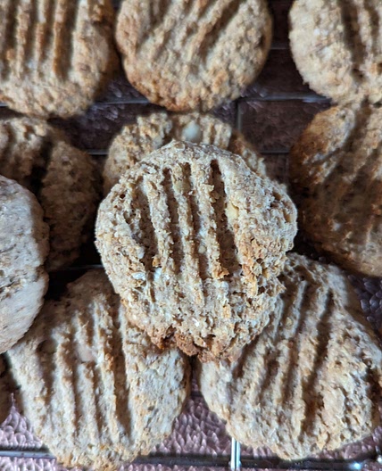 Oatmeal Applesauce Dog Treats