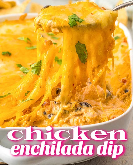 CHICKEN ENCHILADA DIP WITH ROTEL