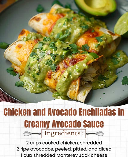  Chicken and avocado enchiladas in creamy avocado sauce