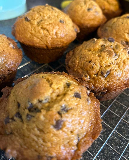 Lauren’s Pumpkin Chip Muffins 