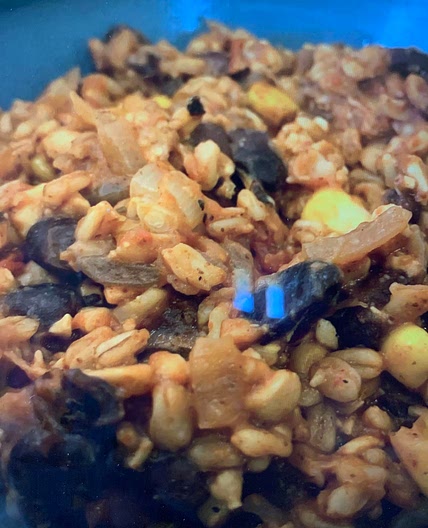 Easy burrito bowl - slow cooker or Insta pot