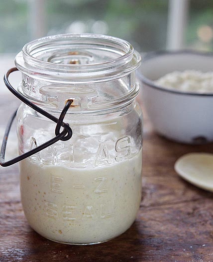Sourdough Starter