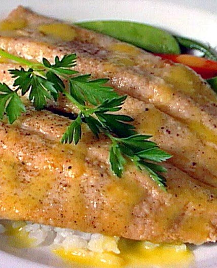 Rainbow Trout