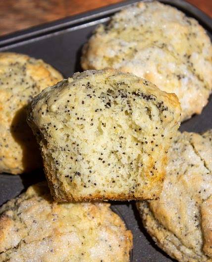 Lemon Poppyseed Ricotta Muffins