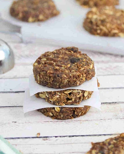 No Bake Protein Cookies