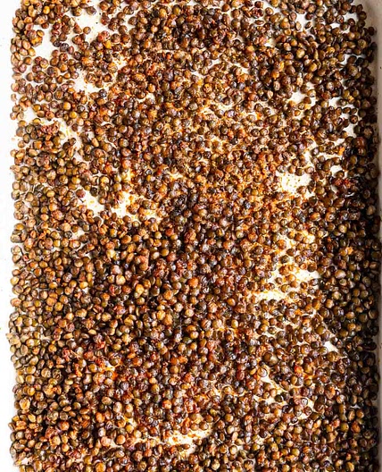 How to Roast Lentils (Instructions & Recipe)