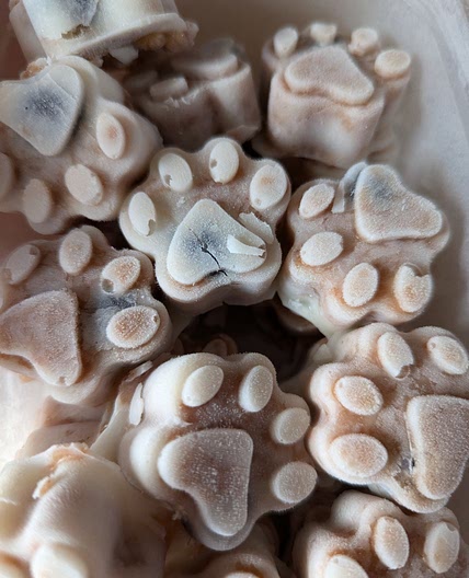 Coconut Oil Pupsicles