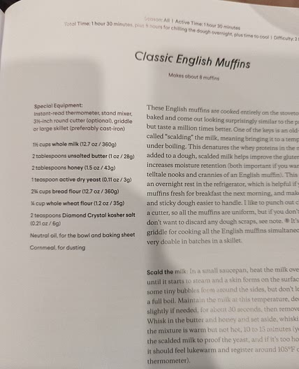 Classic English Muffins