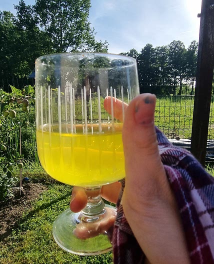 Homemade Lemonade!