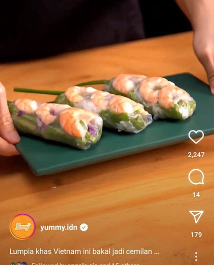 Vietnamese Spring Roll