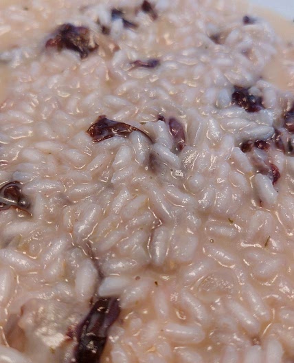 Risotto - Radicchio and scamorza