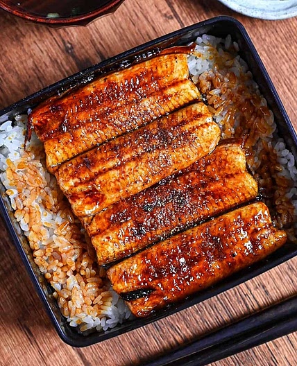 Unaju (Japanese Grilled Eel on Rice)