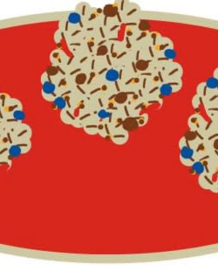 Oat Protein Bites