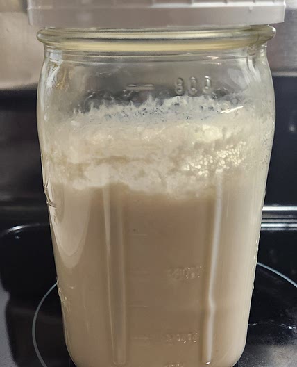 Nondairy yogurt