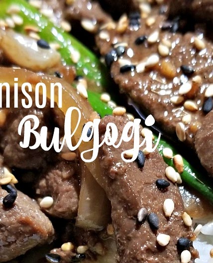 Venison Bulgogi