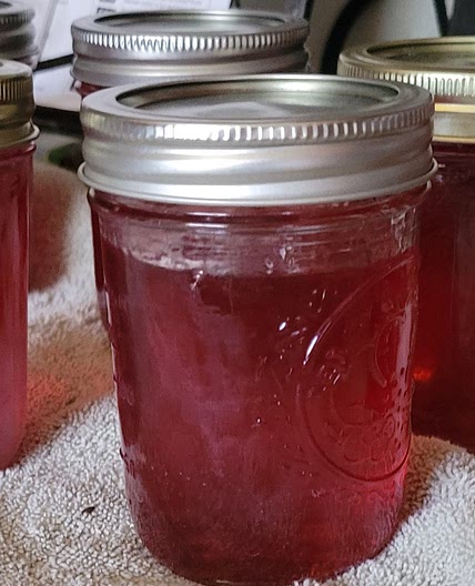 Tese Catcus Recipe