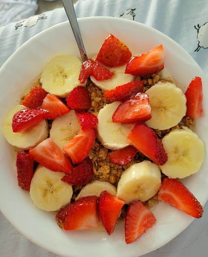 chia oatmeal pudding