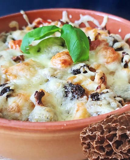 Morel Mushroom Turli Tava - Morel Mushroom Magic