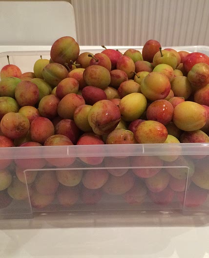 Plum Jam
