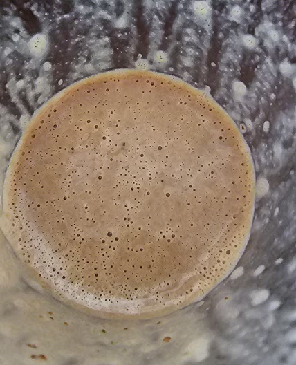 Tahini Coffee Smoothie