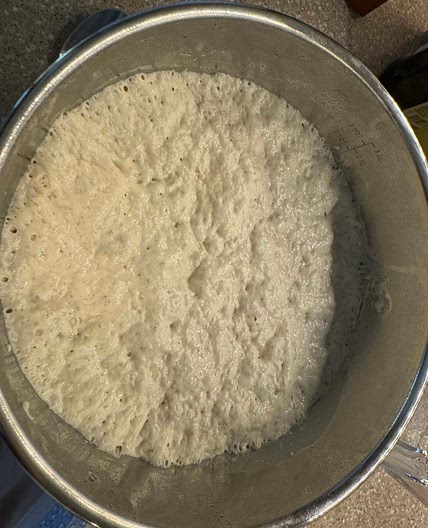 Pizza Dough 