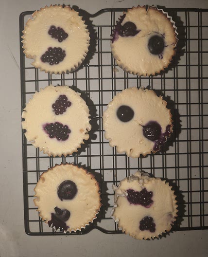 Berry Protein Mini Cheesecakes