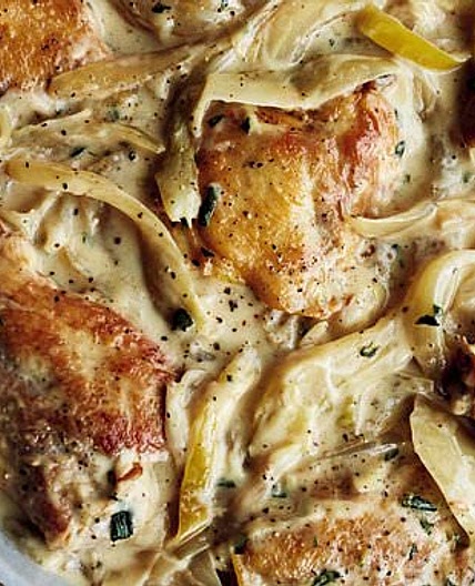 Chicken & fennel fricassee with tarragon