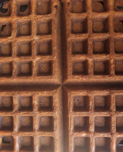 Vanilla Protein Waffles