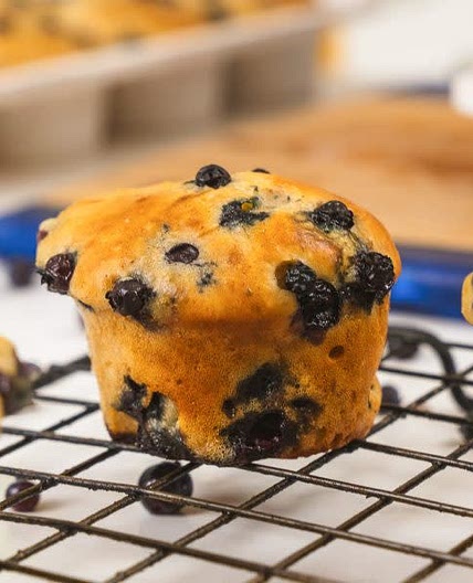 Cottage Cheese Blueberry Muffins