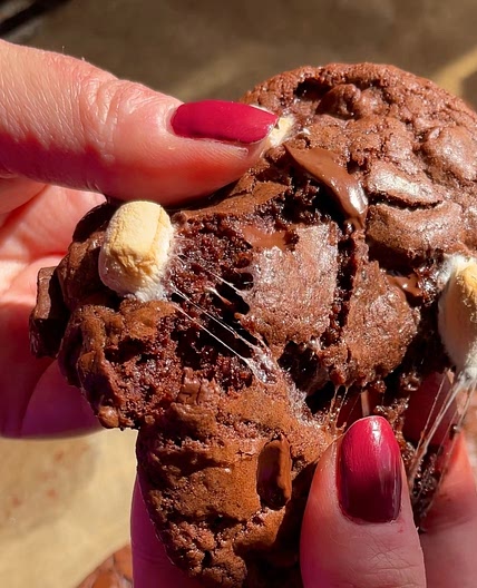 “It ends with us” Hot Chocolate Cookies