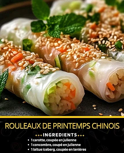 Rouleaux de printemps