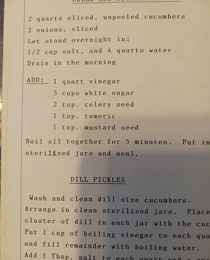 Bread and butter pickle