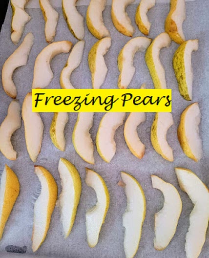Freezing Pears