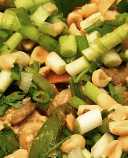 Thai Chicken Peanut Noodles Recipe - Mommy Travels