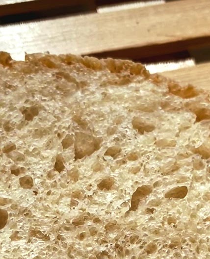 Everyday Sourdough Loaf