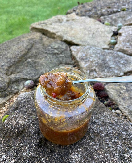 Mrs Hall’s Apple Chutney 