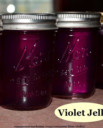Violet Jelly Recipe