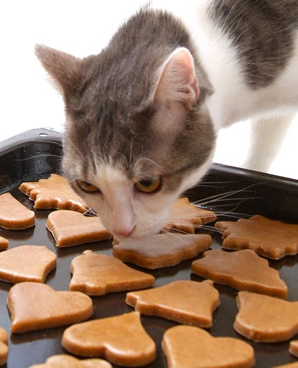 Cat biscuits