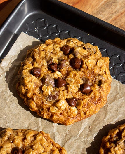 Maple Oatmeal Chocolate Chip Cookies