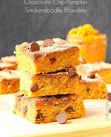 Chocolate Chip Pumpkin Snickerdoodle Blondies