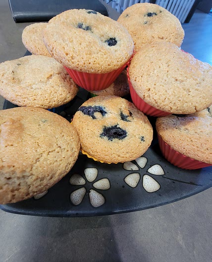 Blueberry Muffins (Paleo)