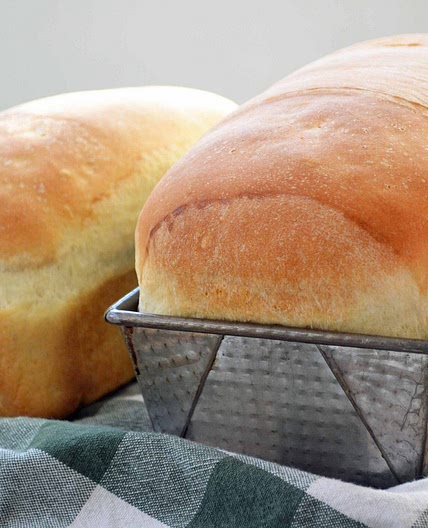 White Bread Recipe