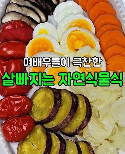 자연식물식