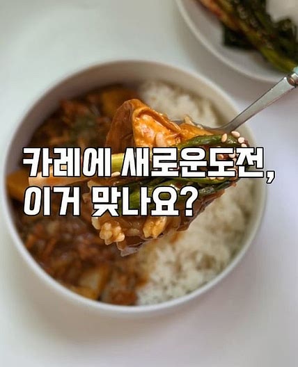 카레레시피