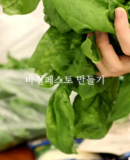 바질 페스토 만들기