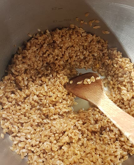 Epeautre à l'autocuiseur