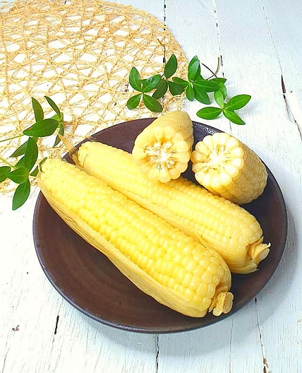 옥수수삶는법